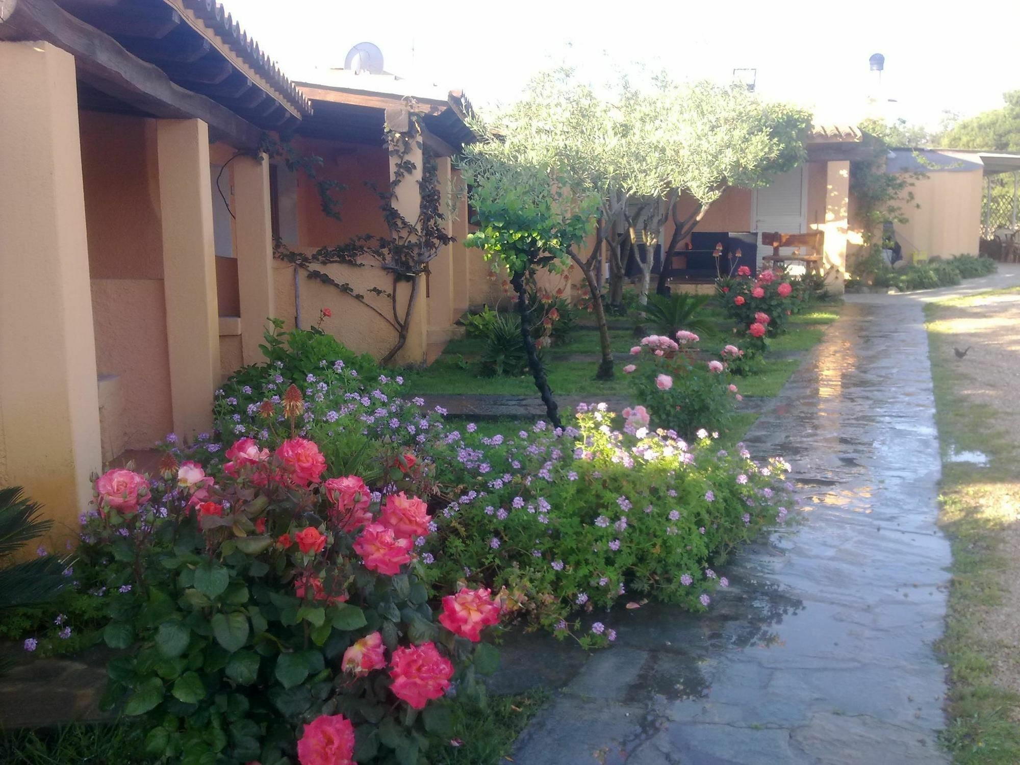 Residence La Pineta Budoni Exterior foto